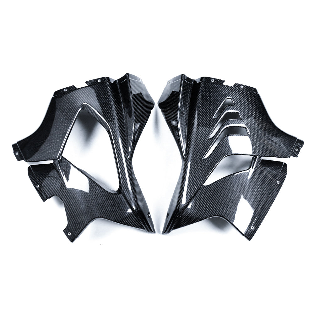 S1carbon BMW M1000RR 2025-2026 Carbon Fiber Side Fairings – 100% Dry Carbon