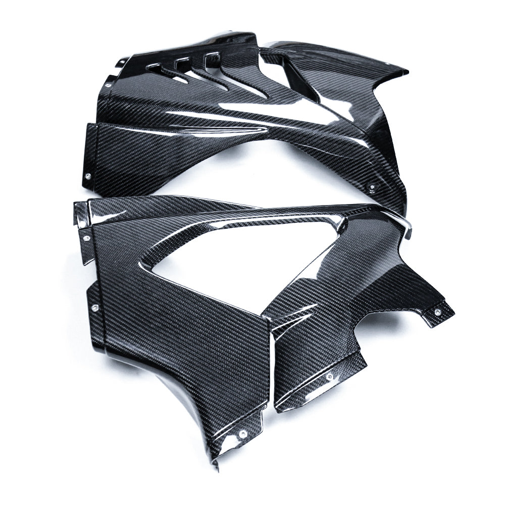 S1carbon BMW M1000RR 2025-2026 Carbon Fiber Side Fairings – 100% Dry Carbon